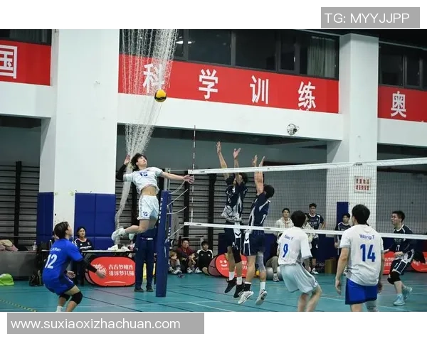 武汉排球队的崛起与发展探秘排球运动的力量与激情 武汉排球队的崛起与发展探秘排球运动的力量与激情