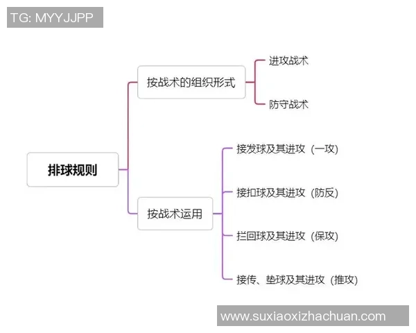 广州排球队技术探讨：提升战术水平与球员素质的关键要素分析