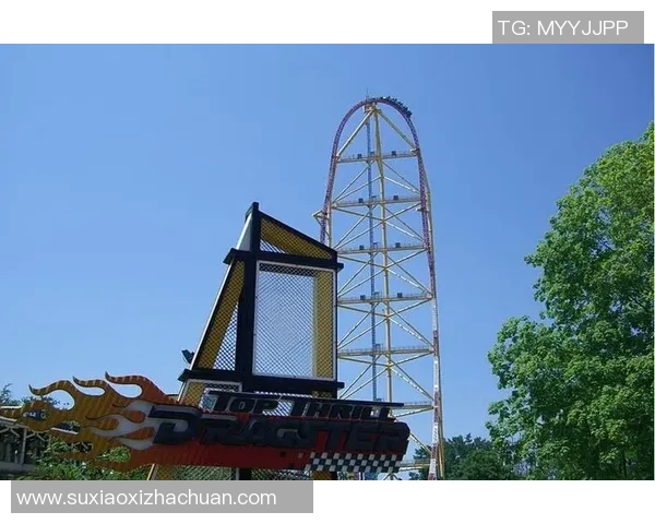 足球明星挑战极限坐过山车惊险瞬间视频分享